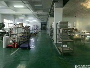 無塵車間與現成辦公室 開啟二手包銷售事業的高效起點